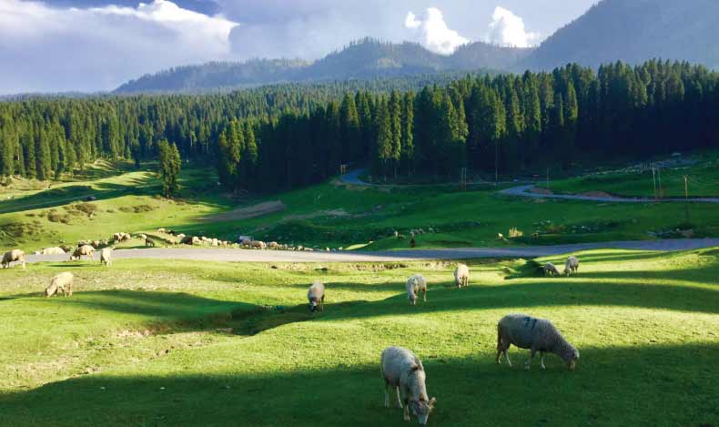 Beauty of Kashmir