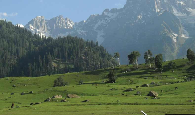 Glimpse of Kashmir