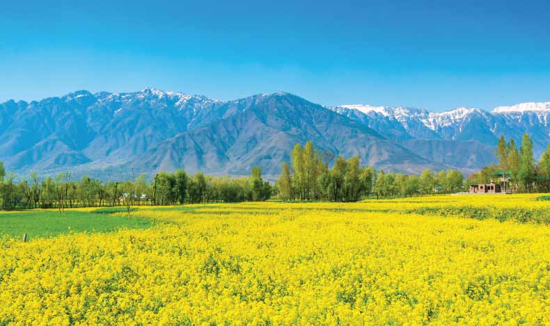 Heavenly Kashmir