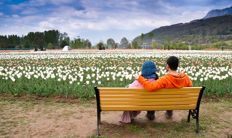 Kashmir’s Spring
