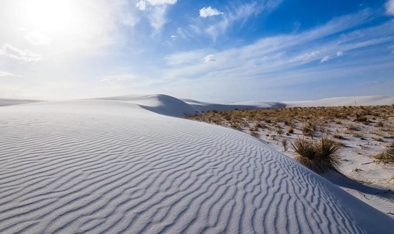 Ladakh : The Friendly Land Tour 