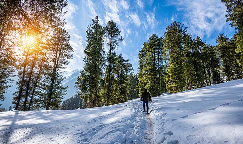 Trekking in Kashmir