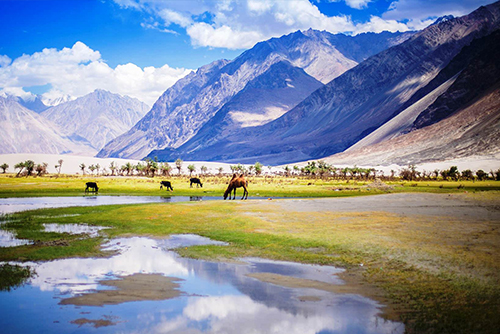Top Destinations